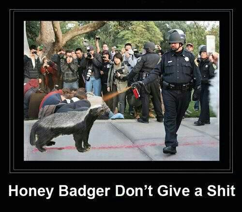 honey badger dont give a shit