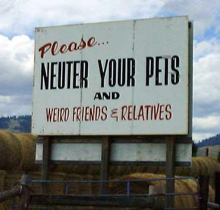 neuter